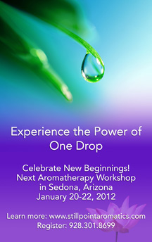 Aromatherapy Courses and Workshops