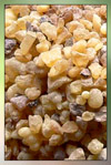 Frankincense therapeutic-grade essential oil